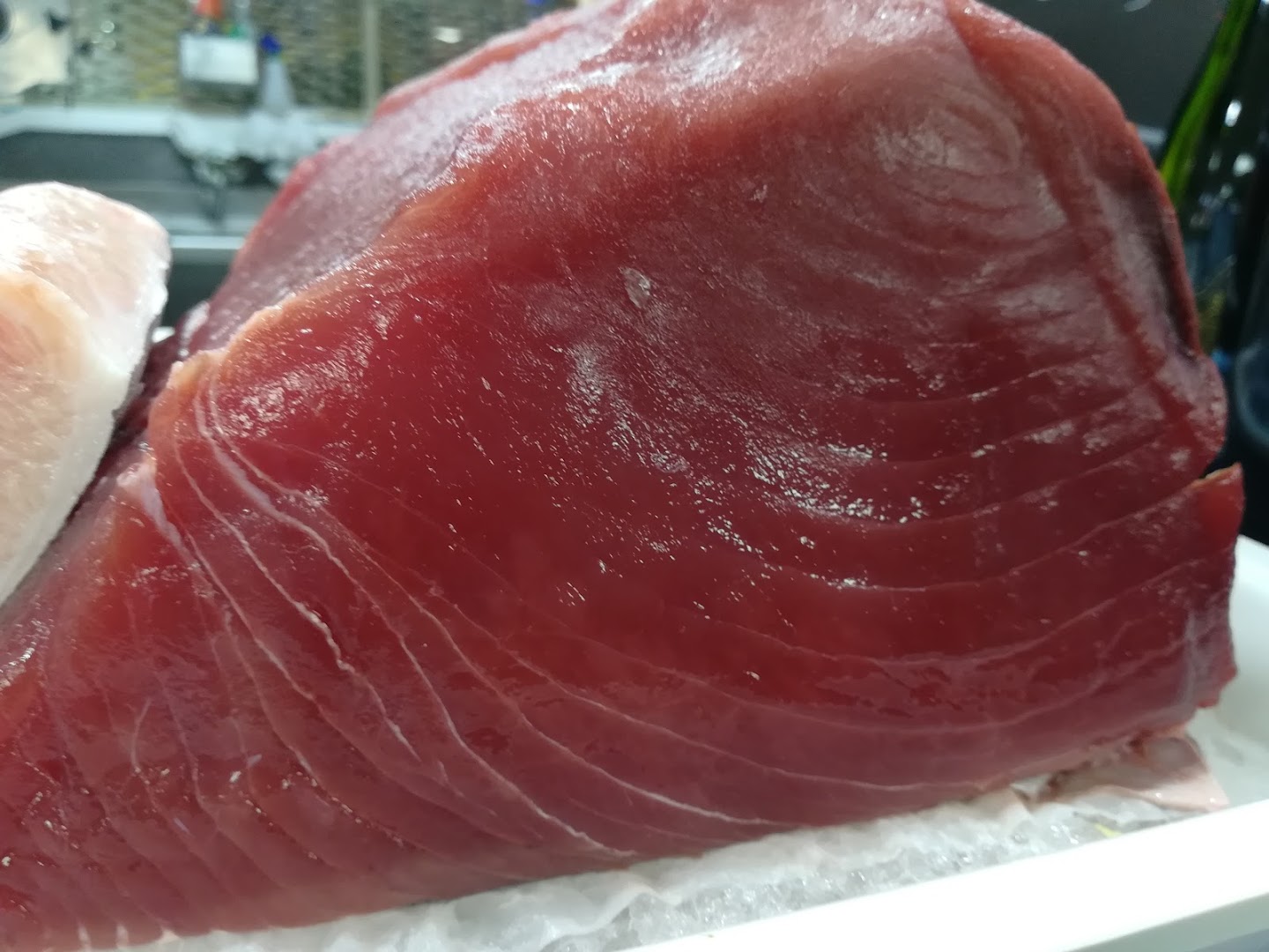 Marea seafood, Mariano blaya · Fotos 1