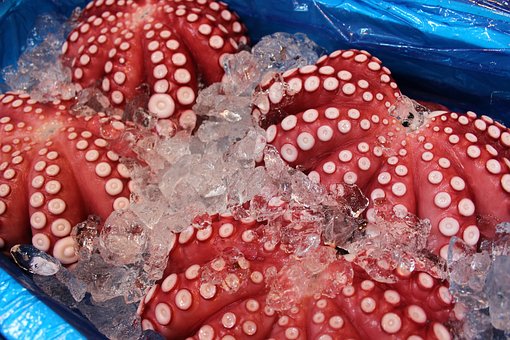 Marea seafood, Mariano blaya · Fotos 11