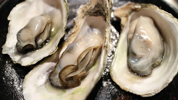 Marea seafood, Mariano blaya · Fotos 13